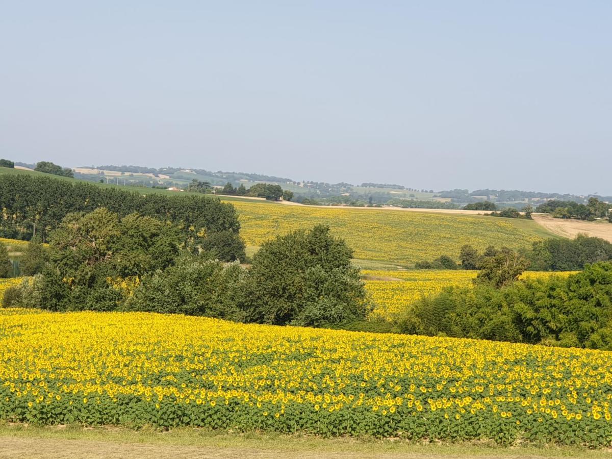 Gite La Halippe Caussens Buitenkant foto